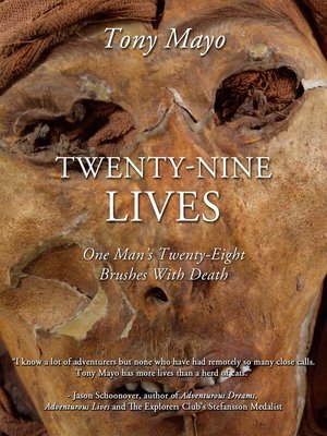 cover image of Twenty-Nine Lives